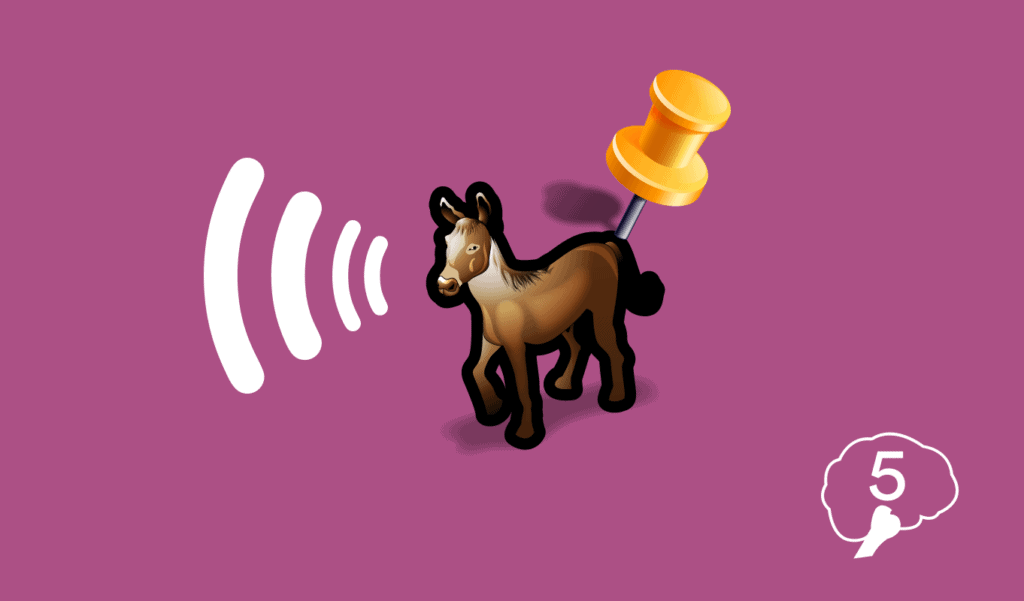 Donkey Honkey